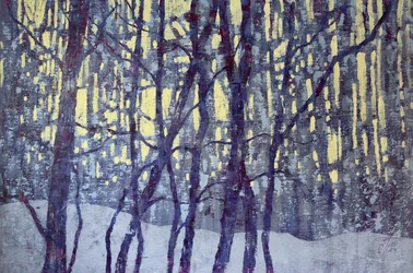 Luz del bosque invernal