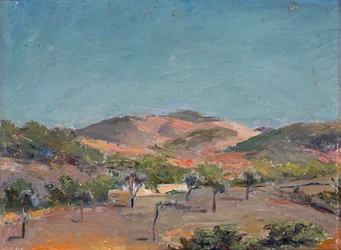 Colina con árboles