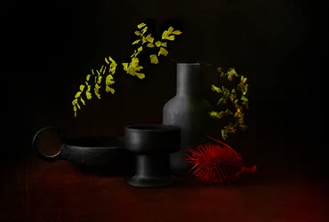 Naturaleza muerta botánica oscura