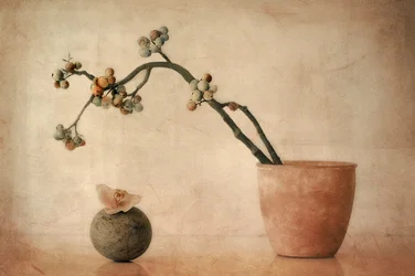 Bayas terrosas y orquídea