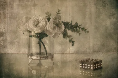 Rosa elegante y recuerdo