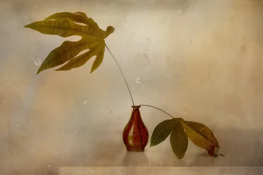 Naturaleza muerta con hoja dorada