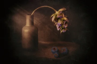 Jarrón «Moody»