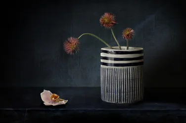Flores puntiagudas y melancólicas