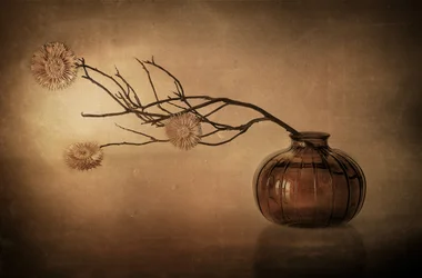 Naturaleza muerta con jarrón rústico