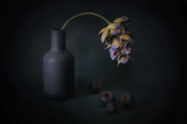 Flor sombreada y bayas