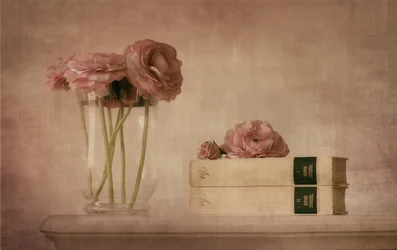 Naturaleza muerta con ranúnculos de color rosa pálido
