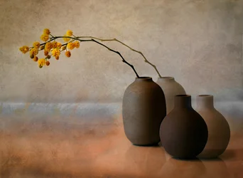 Jarrones de mimosa amarilla