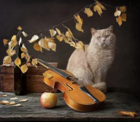 El gato y el violín en otoño