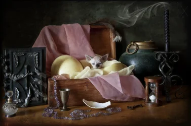 El cofre del tesoro del gatito místico