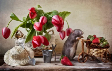 La rata caprichosa del jardín