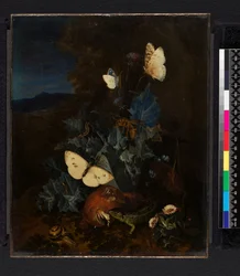 Naturaleza muerta con un cardo, un boletus, un caracol, una lagartija, mariposas y una abeja en un paisaje (óleo sobre lienzo)