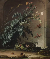 Nichos de piedra con cardo, lagarto e insectos, 1690
