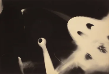 Sin título, c.1925 (gelatina de plata)