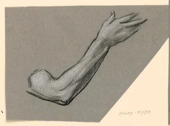 Dibujo, detalle de un brazo, hacia 1885
