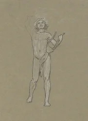 Estudio para Apolo