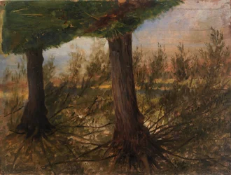 Árboles junto a un arroyo