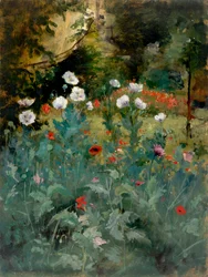 Amapolas, finales del siglo XIX-principios del siglo XX