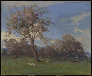 Primavera