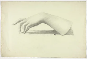 Antebrazo y mano izquierda
