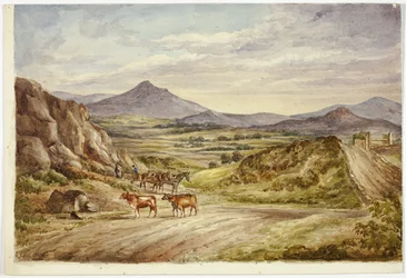 Colinas de Wicklow