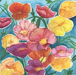 Amapolas de Islandia, 2018 (acuarela)