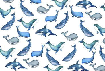 Ballenas, 2017 (acuarela)
