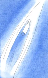 En la oración podemos elevarnos como una flecha hacia Dios, 2002