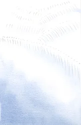 ¡Es maravilloso que un alma libre adore a Dios como lo hacen los Ángeles, pero lo haga en fe, a ciegas, sin ver aún a Dios!
