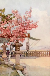La cereza rosa (litografía en color)