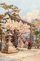 Cerezo blanco en Kitano (litografía en color)