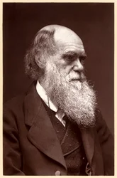 Charles Darwin: naturalista inglés
