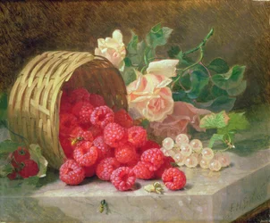 Cesta Volcada con Frambuesas y Grosellas Blancas