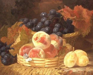 Naturaleza muerta con fruta y una mariposa