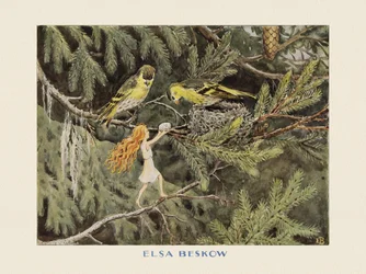El huevo del sol Las aves