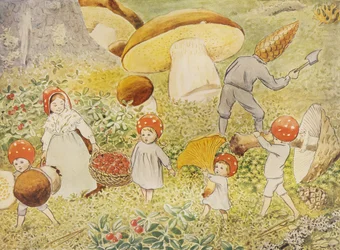 Los niños de Tomtebo: Mushroom Kids
