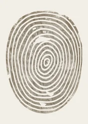 Anillos de árboles orgánicos