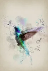 Colibrí en acuarela de vivos colores