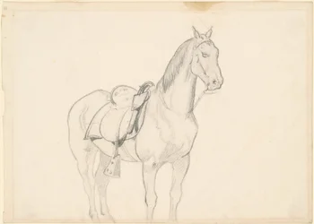 Caballo