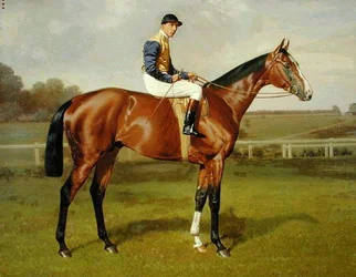 "Spearmint", ganador del Derby de 1906, 1906