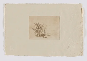 Connecticut Hillside (cartera de fm.)
