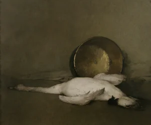 El cisne salvaje