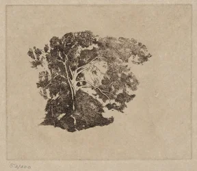 estudio de árboles