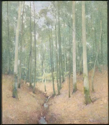 Interior de Madera