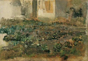 Campo de nabos, c.1888 (óleo sobre lienzo)