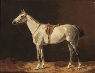 Un caballo gris ensillado esperando en un establo