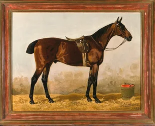 Marrón