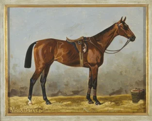 Caballo marrón ensillado