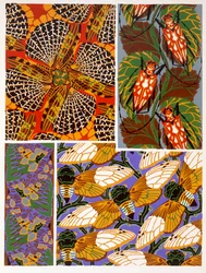 Diseño con motivos de insectos