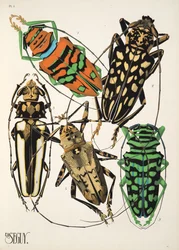 Lámina 4 de Insectes, pub. 1930 (impresión en pochoir)
